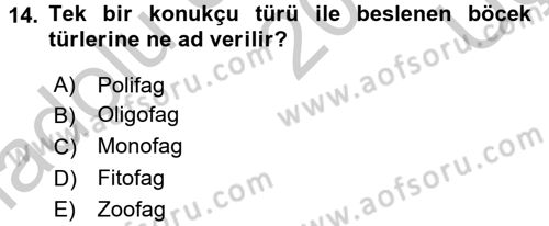 Entomoloji Dersi 2016 - 2017 Yılı 3 Ders Sınav Soruları 14. Soru