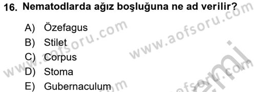 Entomoloji Dersi 2016 - 2017 Yılı 3 Ders Sınav Soruları 16. Soru