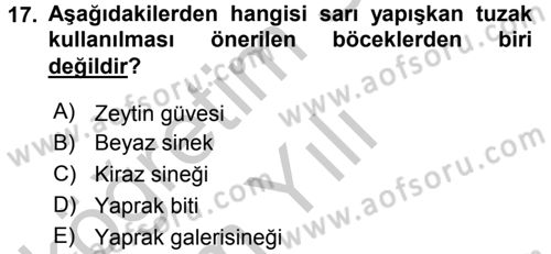 Entomoloji Dersi 2016 - 2017 Yılı 3 Ders Sınav Soruları 17. Soru