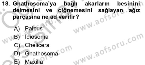 Entomoloji Dersi 2016 - 2017 Yılı 3 Ders Sınav Soruları 18. Soru