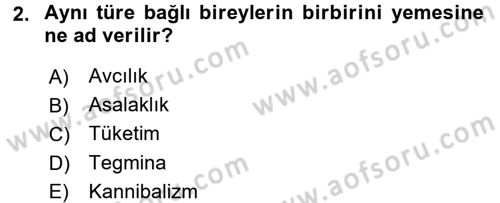 Entomoloji Dersi 2016 - 2017 Yılı 3 Ders Sınav Soruları 2. Soru