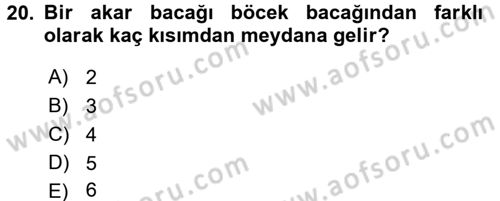 Entomoloji Dersi 2016 - 2017 Yılı 3 Ders Sınav Soruları 20. Soru