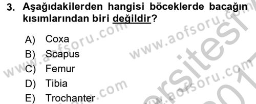 Entomoloji Dersi 2016 - 2017 Yılı 3 Ders Sınav Soruları 3. Soru