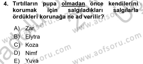 Entomoloji Dersi 2016 - 2017 Yılı 3 Ders Sınav Soruları 4. Soru