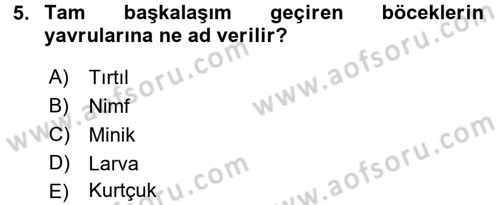 Entomoloji Dersi 2016 - 2017 Yılı 3 Ders Sınav Soruları 5. Soru