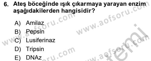 Entomoloji Dersi 2016 - 2017 Yılı 3 Ders Sınav Soruları 6. Soru