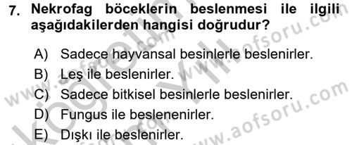 Entomoloji Dersi 2016 - 2017 Yılı 3 Ders Sınav Soruları 7. Soru