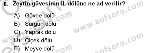 Entomoloji Dersi 2016 - 2017 Yılı 3 Ders Sınav Soruları 8. Soru