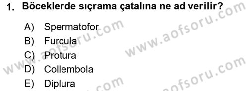 Entomoloji Dersi 2016 - 2017 Yılı (Vize) Ara Sınav Soruları 1. Soru