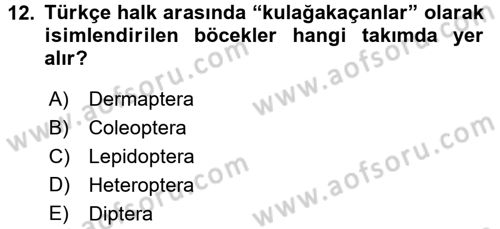 Entomoloji Dersi 2016 - 2017 Yılı (Vize) Ara Sınav Soruları 12. Soru