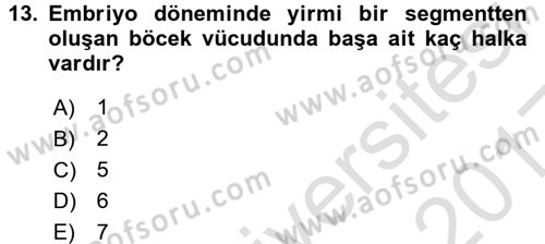 Entomoloji Dersi Ara Sınavı Deneme Sınav Soruları 13. Soru