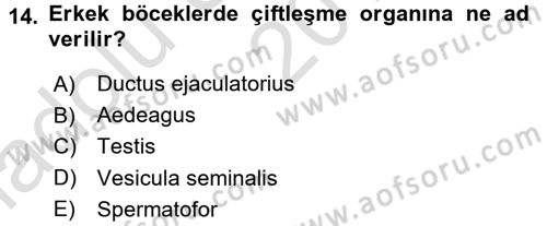 Entomoloji Dersi Ara Sınavı Deneme Sınav Soruları 14. Soru