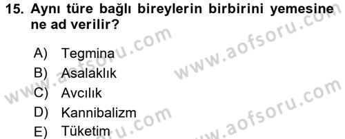 Entomoloji Dersi 2016 - 2017 Yılı (Vize) Ara Sınav Soruları 15. Soru