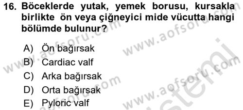 Entomoloji Dersi Ara Sınavı Deneme Sınav Soruları 16. Soru