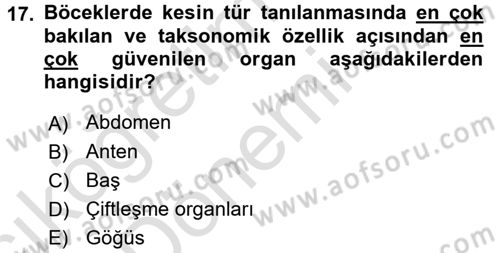 Entomoloji Dersi 2016 - 2017 Yılı (Vize) Ara Sınav Soruları 17. Soru