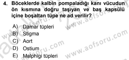 Entomoloji Dersi Ara Sınavı Deneme Sınav Soruları 4. Soru