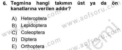 Entomoloji Dersi 2016 - 2017 Yılı (Vize) Ara Sınav Soruları 6. Soru