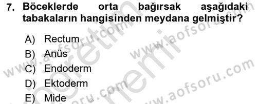 Entomoloji Dersi Ara Sınavı Deneme Sınav Soruları 7. Soru