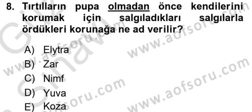 Entomoloji Dersi Ara Sınavı Deneme Sınav Soruları 8. Soru