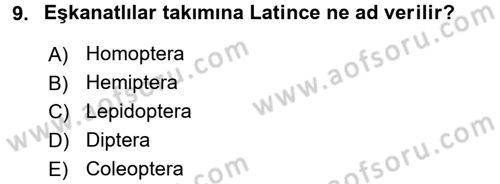 Entomoloji Dersi Ara Sınavı Deneme Sınav Soruları 9. Soru