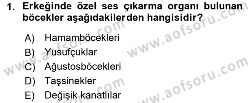 Entomoloji Dersi 2016 - 2017 Yılı (Final) Dönem Sonu Sınav Soruları 1. Soru