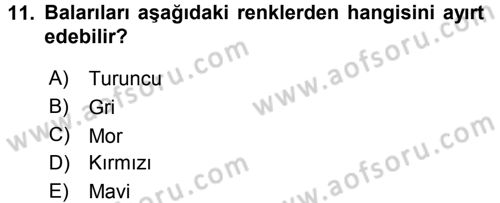 Entomoloji Dersi 2016 - 2017 Yılı (Final) Dönem Sonu Sınav Soruları 11. Soru