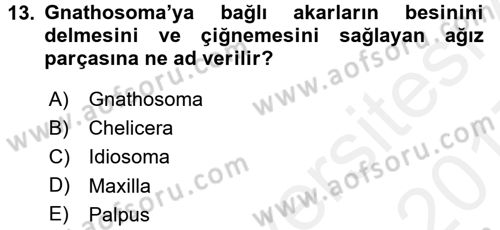 Entomoloji Dersi 2016 - 2017 Yılı (Final) Dönem Sonu Sınav Soruları 13. Soru