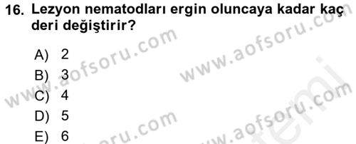 Entomoloji Dersi 2016 - 2017 Yılı (Final) Dönem Sonu Sınav Soruları 16. Soru
