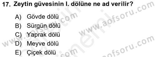 Entomoloji Dersi 2016 - 2017 Yılı (Final) Dönem Sonu Sınav Soruları 17. Soru