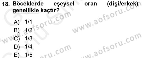 Entomoloji Dersi 2016 - 2017 Yılı (Final) Dönem Sonu Sınav Soruları 18. Soru