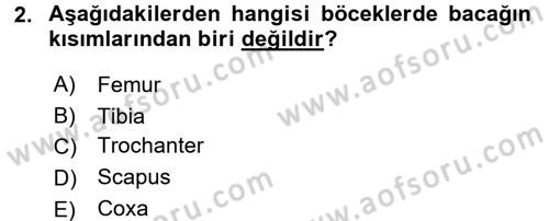 Entomoloji Dersi 2016 - 2017 Yılı (Final) Dönem Sonu Sınav Soruları 2. Soru
