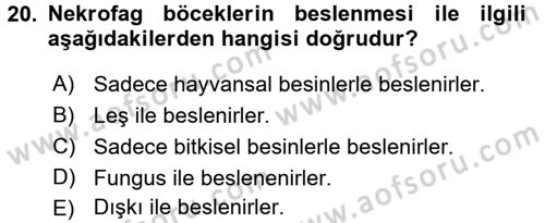 Entomoloji Dersi 2016 - 2017 Yılı (Final) Dönem Sonu Sınav Soruları 20. Soru