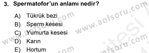 Entomoloji Dersi 2016 - 2017 Yılı (Final) Dönem Sonu Sınav Soruları 3. Soru