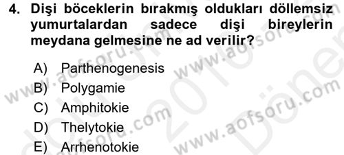 Entomoloji Dersi 2016 - 2017 Yılı (Final) Dönem Sonu Sınav Soruları 4. Soru