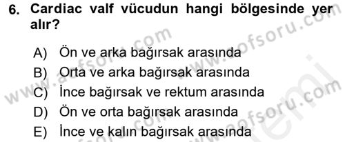 Entomoloji Dersi 2016 - 2017 Yılı (Final) Dönem Sonu Sınav Soruları 6. Soru