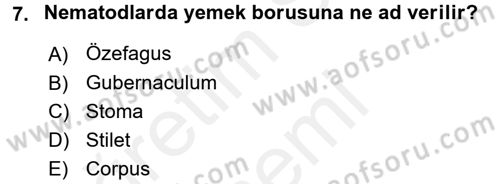 Entomoloji Dersi 2016 - 2017 Yılı (Final) Dönem Sonu Sınav Soruları 7. Soru