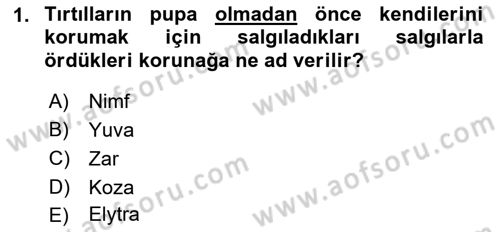 Entomoloji Dersi 2017 - 2018 Yılı 3 Ders Sınav Soruları 1. Soru