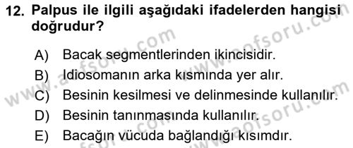 Entomoloji Dersi 2017 - 2018 Yılı 3 Ders Sınav Soruları 12. Soru