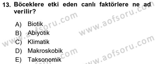 Entomoloji Dersi 2017 - 2018 Yılı 3 Ders Sınav Soruları 13. Soru