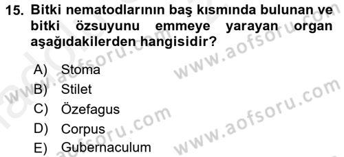 Entomoloji Dersi 2017 - 2018 Yılı 3 Ders Sınav Soruları 15. Soru