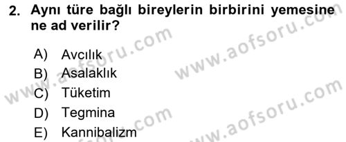 Entomoloji Dersi 2017 - 2018 Yılı 3 Ders Sınav Soruları 2. Soru