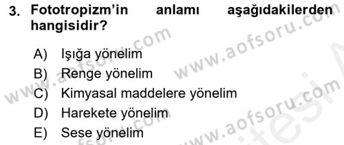 Entomoloji Dersi 2017 - 2018 Yılı 3 Ders Sınav Soruları 3. Soru