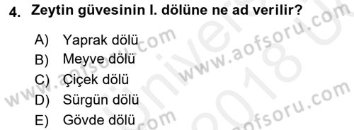 Entomoloji Dersi 2017 - 2018 Yılı 3 Ders Sınav Soruları 4. Soru