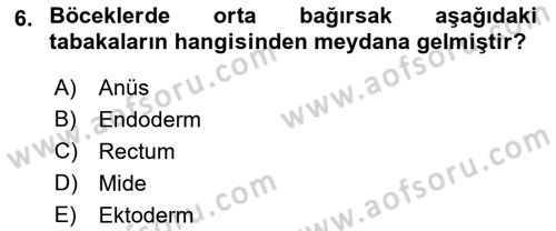 Entomoloji Dersi 2017 - 2018 Yılı 3 Ders Sınav Soruları 6. Soru