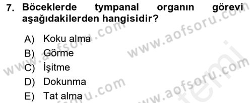Entomoloji Dersi 2017 - 2018 Yılı 3 Ders Sınav Soruları 7. Soru