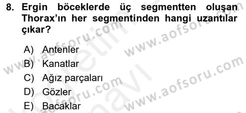 Entomoloji Dersi 2017 - 2018 Yılı 3 Ders Sınav Soruları 8. Soru