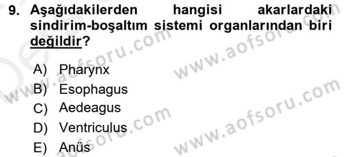 Entomoloji Dersi 2017 - 2018 Yılı 3 Ders Sınav Soruları 9. Soru