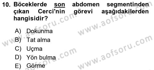 Entomoloji Dersi Ara Sınavı Deneme Sınav Soruları 10. Soru