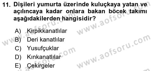 Entomoloji Dersi Ara Sınavı Deneme Sınav Soruları 11. Soru