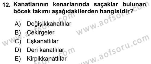 Entomoloji Dersi Ara Sınavı Deneme Sınav Soruları 12. Soru